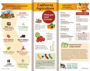California Agriculture Fact Sheet